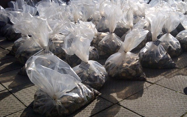 Gansbaai Duisende perlemoen gevind_1